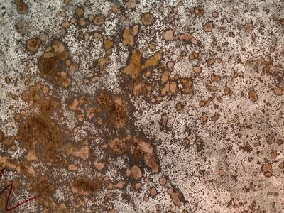 Professional 24 hour water damage restoration services in Spring